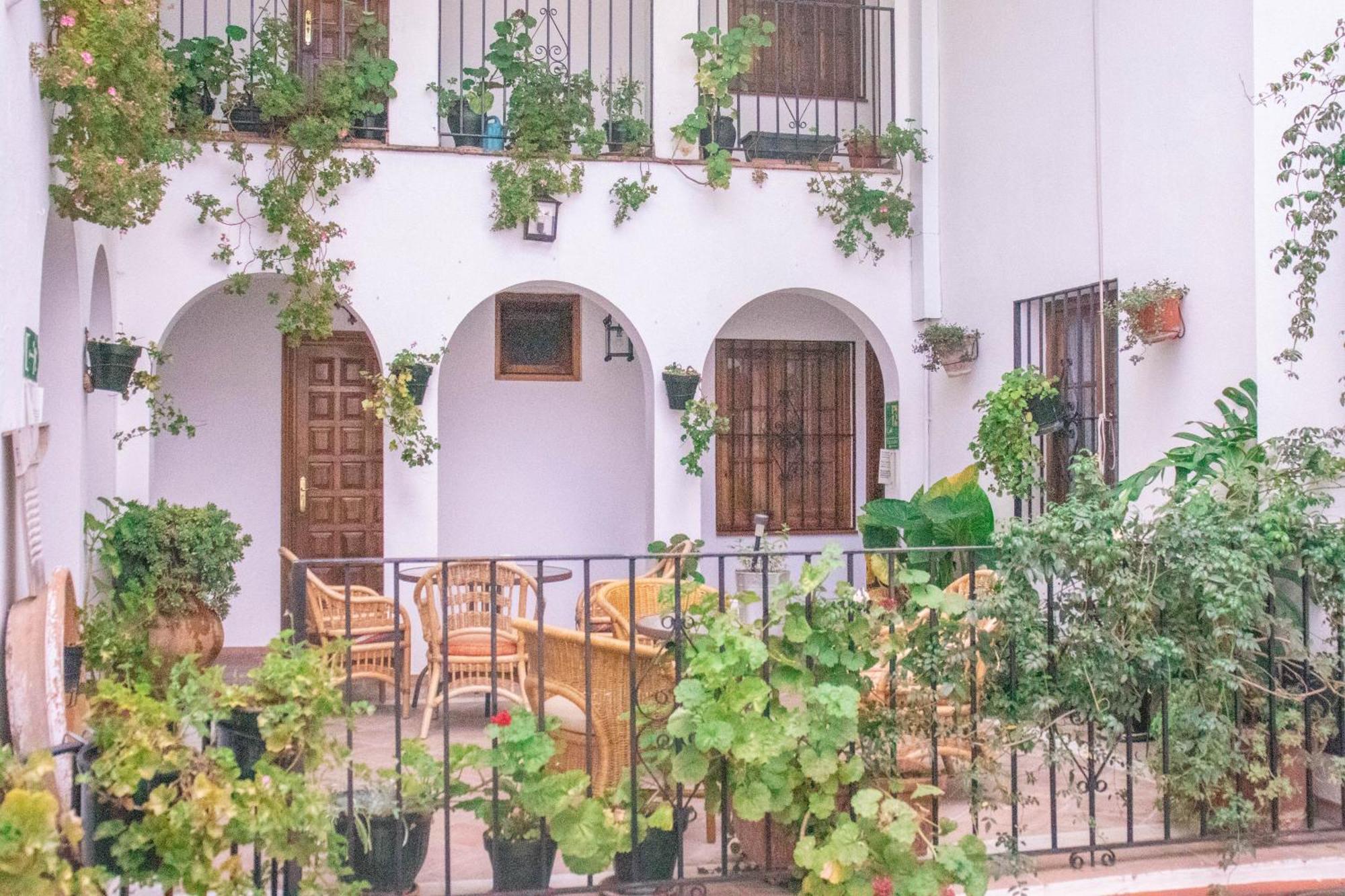 Hotel Hospederia Casa De Piedras Grazalema